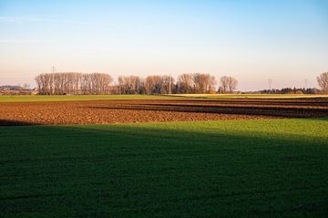 Golden hour over Flemish arable land by Werner Lerooy