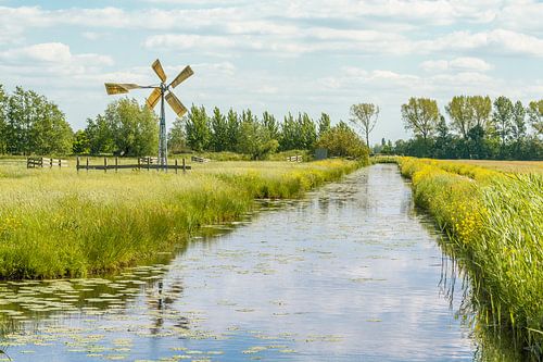Sloot door Weilanden met Windmolentje