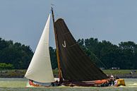 Skûtsje klassisches friesisches Tjalk Segelboot auf dem IJsselmeer von Sjoerd van der Wal Fotografie Miniaturansicht