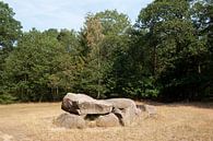 Hunebed D35 van Richard Wareham thumbnail