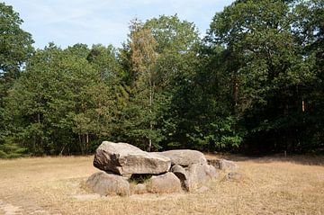 Hunebed D35 van Richard Wareham