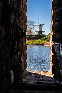 Mühle der Kuh in Veere