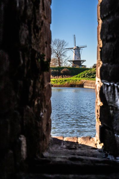 Mill the Cow in Veere by Danny Bastiaanse