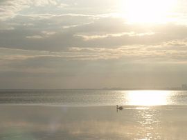 Zonsondergang Öland (Zweden) #1 by Joke Geurts