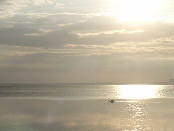 Zonsondergang Öland (Zweden) #1