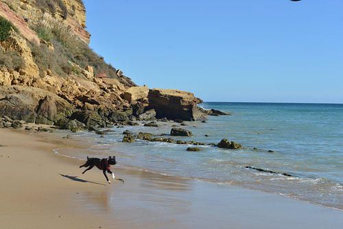 Windstille Bucht von Burgau (Praia do Burgau) - Algarve