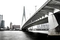 Heldere Erasmusbrug