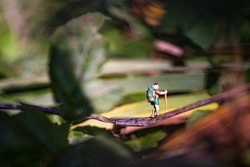 Miniatuur avontuur van Rik Moors