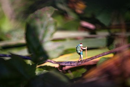 Miniature adventure
