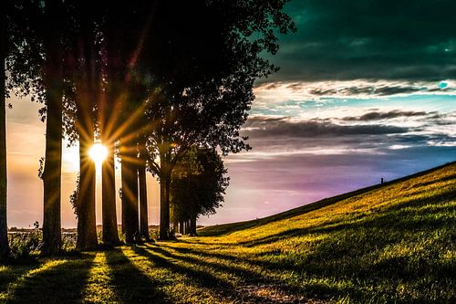 Beauty of Nature