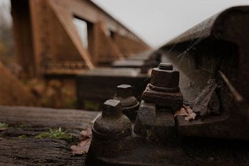 Echo of Iron and Silence