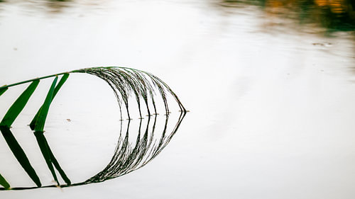 Die Stille, reflektiert