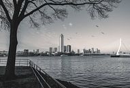 Rotterdam in Black And White by Sonny Vermeer thumbnail