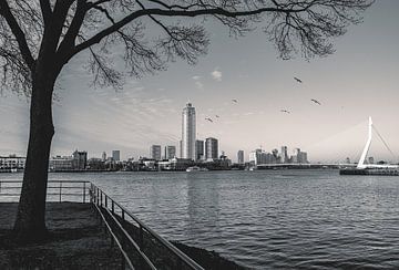 Rotterdam in Schwarz und Weiß von Sonny Vermeer