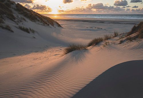 Dunes in evening light by Wad of Wonders