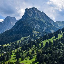 Warmer Sommertag in den Schweizer Alpen von Jarne Buttiens