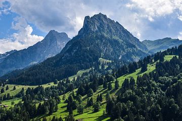 Warmer Sommertag in den Schweizer Alpen von Jarne Buttiens