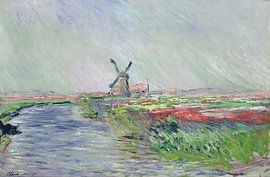 Tulpenfelder in Holland, Claude Monet