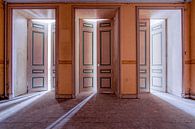 Doors leading to heaven by Jack van der Spoel thumbnail
