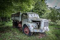 Vieux camion dans la forêt par Inge van den Brande Aperçu