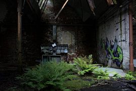 Lost Place 041 van YAMMAY ARTWORK