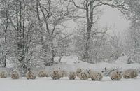 Ondergesneeuwd