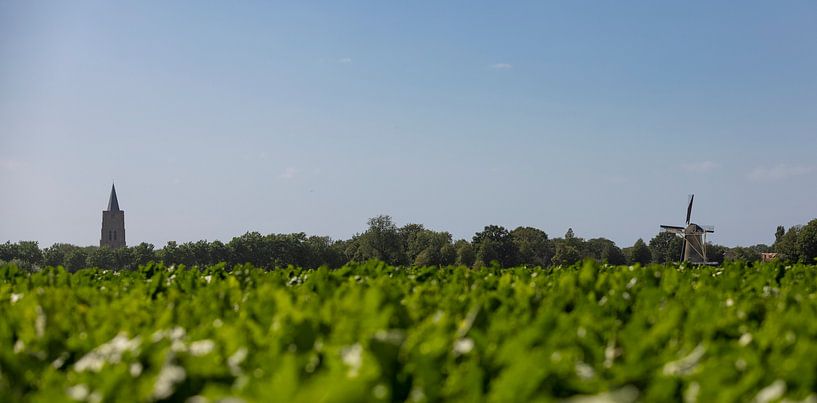 Countryside with Oostkapelle in the background 2 by Percy's fotografie