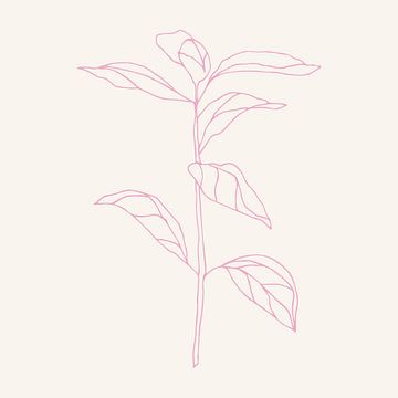 Romantische botanische tekening in neonroze op wit nr. 9 van Dina Dankers