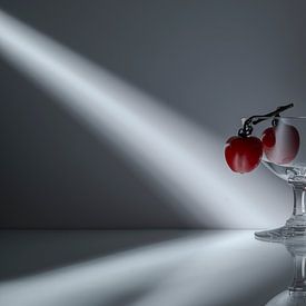 À la lumière ou à l'ombre sur Angeline van de Kerkhof