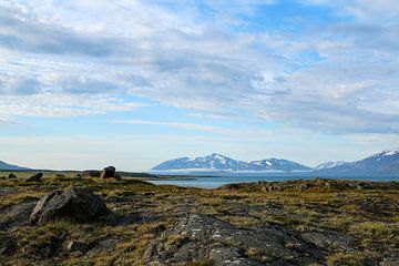 Landschap IJsland van natuurlijkjohn