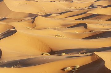 de zandduinen van Erg Chebbi van Walter G. Allgöwer