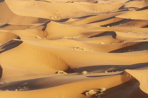 de zandduinen van Erg Chebbi