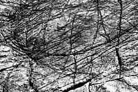Scratched rock