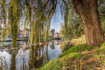 Blick durch die Weiden am Singel Alkmaar, Niederlande von jaapFoto