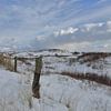 Ameland in winterkleed van Rinnie Wijnstra