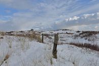 Ameland in winterkleed van Rinnie Wijnstra thumbnail