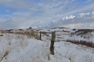 Ameland im Wintergefieder von Rinnie Wijnstra