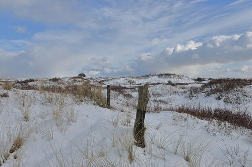 Ameland in winterkleed