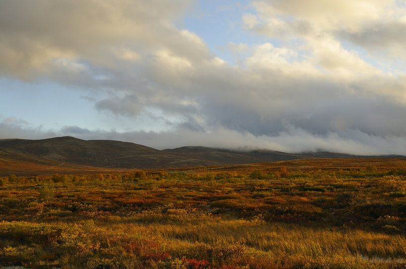 Dovre-Nationalpark von Karin Jähne