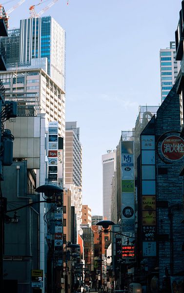 Rue animée de Tokyo avec de grands bâtiments par Stella Ammerlaan