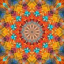 Mandala Art 27 par Marion Tenbergen Aperçu