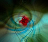 Mohn Abstrakt
