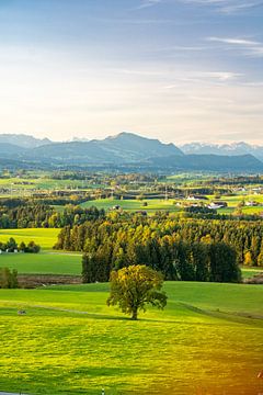 Uitzicht over de Allgäu naar de Allgäuer Alpen en het Grüntengebergte