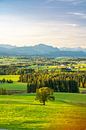 Uitzicht over de Allgäu naar de Allgäuer Alpen en het Grüntengebergte van Leo Schindzielorz thumbnail