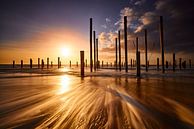 Palendorp Petten by Peter de Jong thumbnail