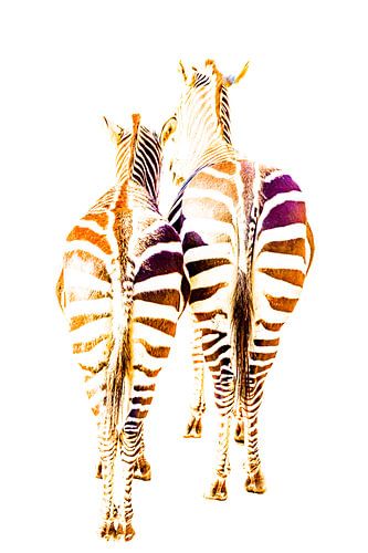 Zebras, in graphic editing