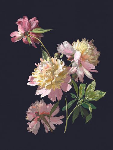 Peinture d'étude sur les pivoines