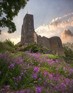 Burg Stolpen