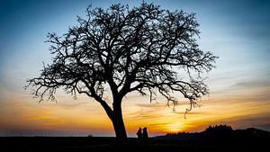 Coucher de soleil hivernal