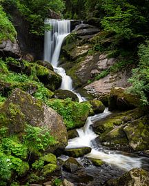 Idylle in the forest by OCEANVOLTA